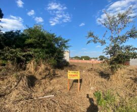 Venda – Terreno – Rua Palmeira  (LE) – (lado esquerdo nº 142) - Peabiru